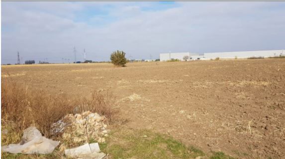 Teren Braila / Centura - Poză 3