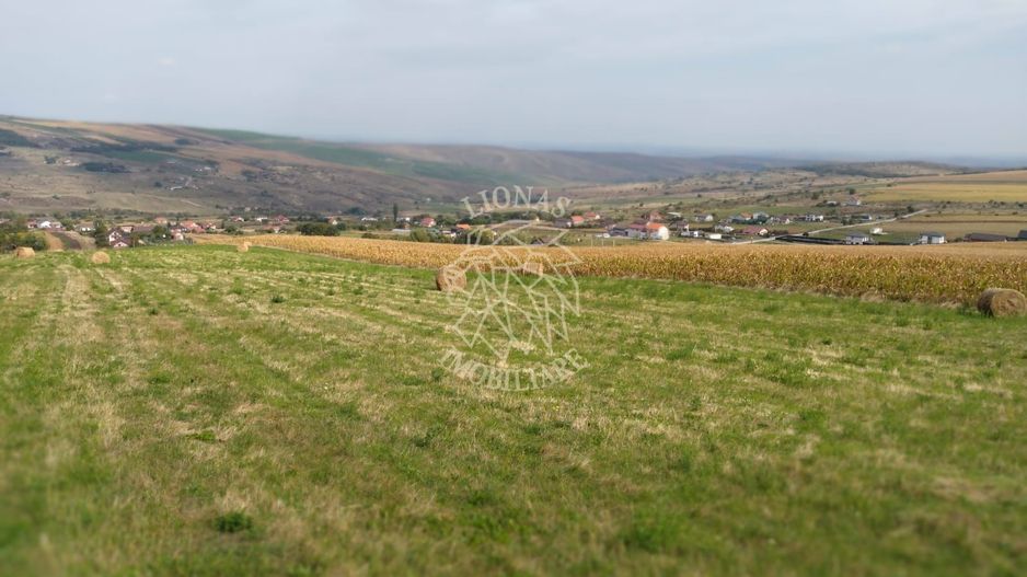 3 Parcele in Zona Fanate-oportunitate unica de investitie-Cluj-Napoca - Poză 7