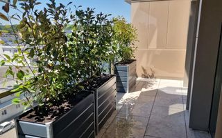 Apartament Cortina 126 | 2 camere - Poză 10