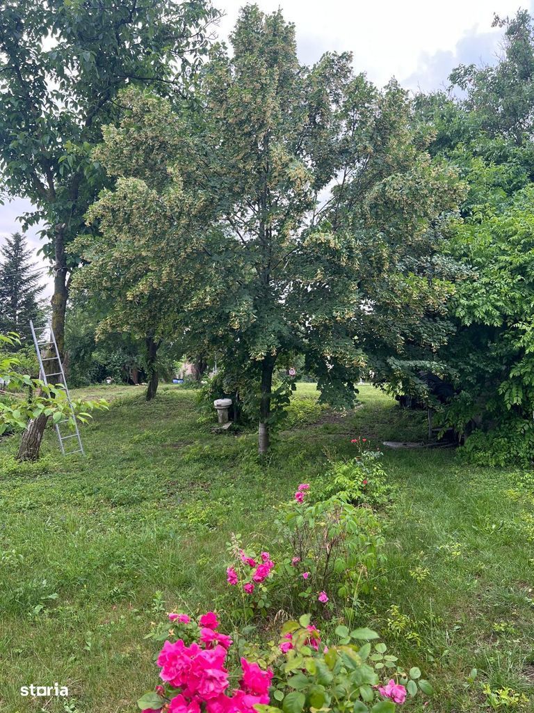 ofer spre vanzare teren pe malul lacului Snagov si vila S+P+E+M - Poză 5