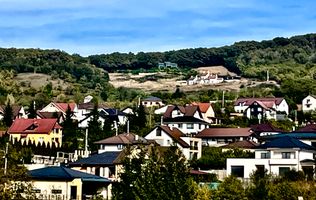 Terenuri de vanzare Bistrita - 22 parcele | 16000 mp