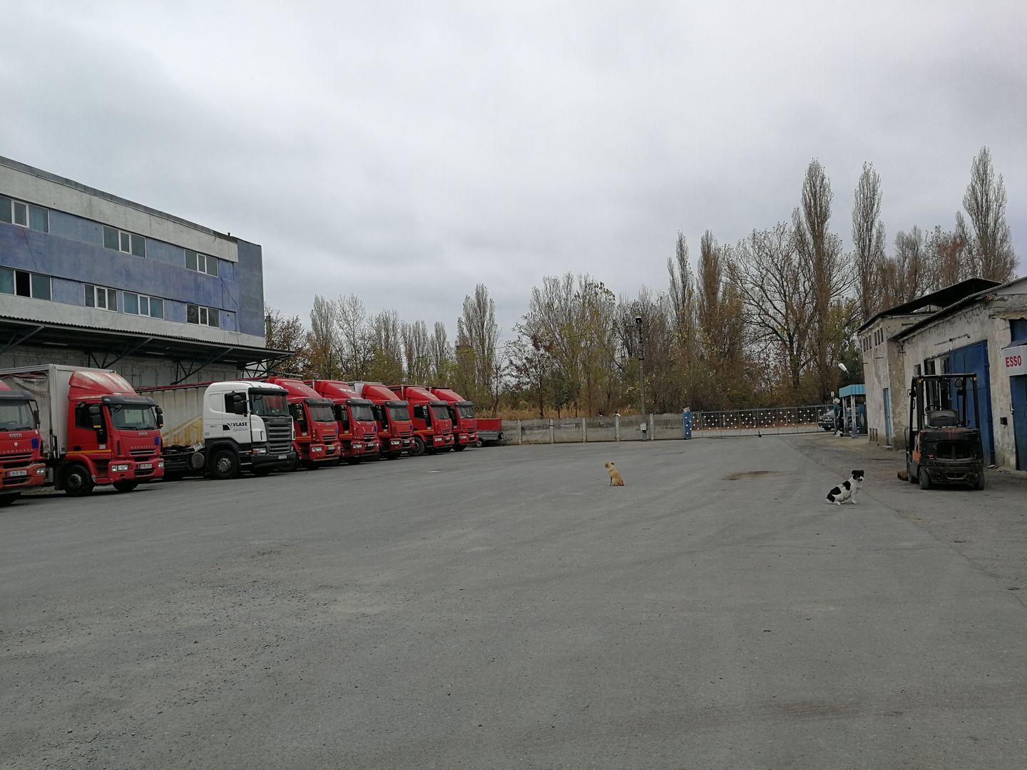 Teren si spatiu industrial Slobozia - Poză 4