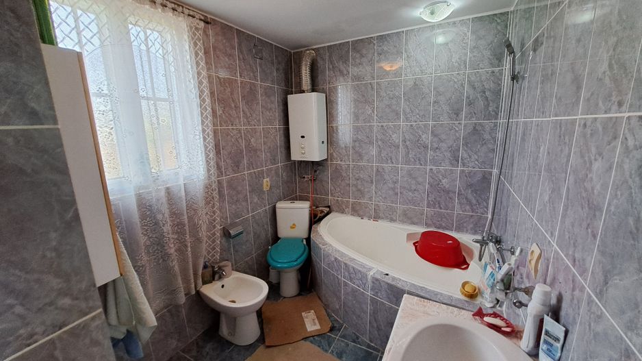 Casa + Teren 13.000 mp - Cervenia - Teleorman - Poză 19