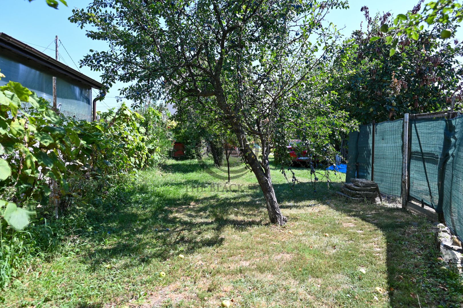 Casa de vanzare | 1.048 Mp teren | Romanesti - Poză 24