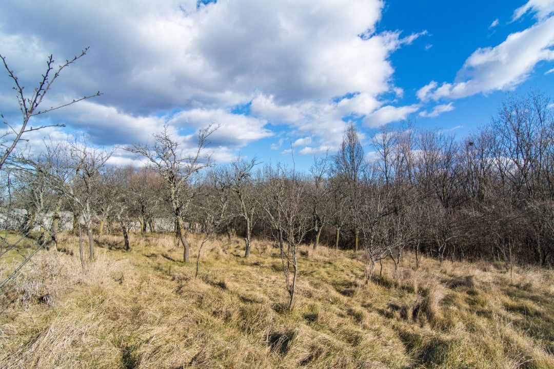 Casa traditionala argeseana – comuna Vedea, jud. Arges - Poză 6