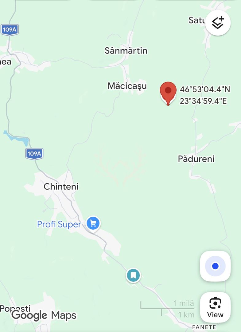 Teren intravilan de vanzare | 2.900 mp | Macicasu, com. Chinteni | La - Poză 1