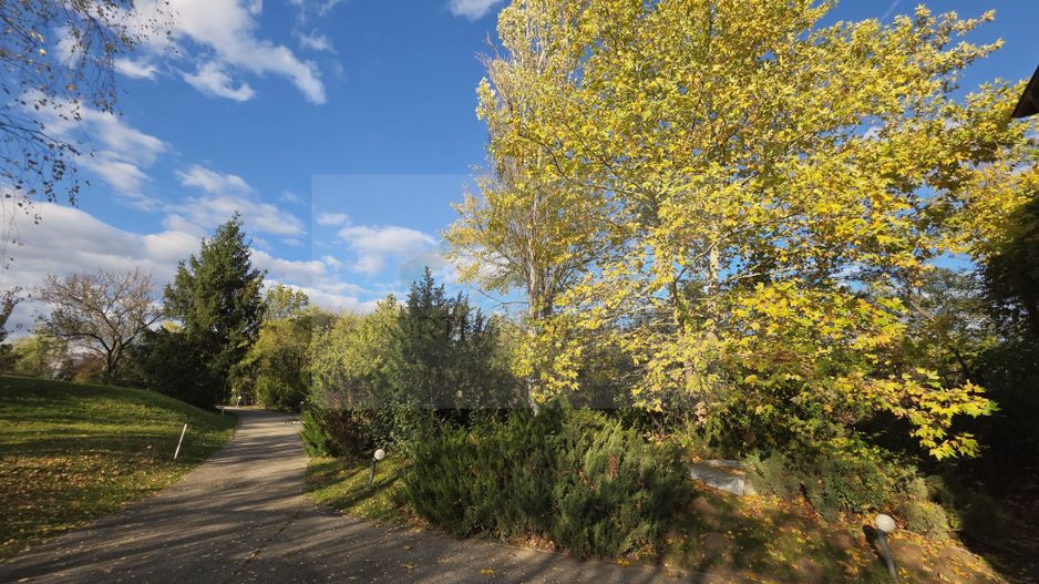 Reședință exclusivistă cu deschidere la Lacul Scroviștea - Poză 21