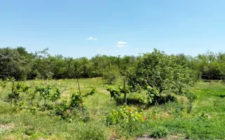 Casă de vanzare cu teren generos de 6.732 mp la E671 Leș, Bihor - Poză 11