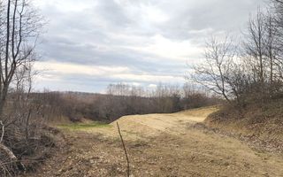 Teren extravilan agricol 1.184 mp | Sibiel | utilități la 100 m - Poză 7