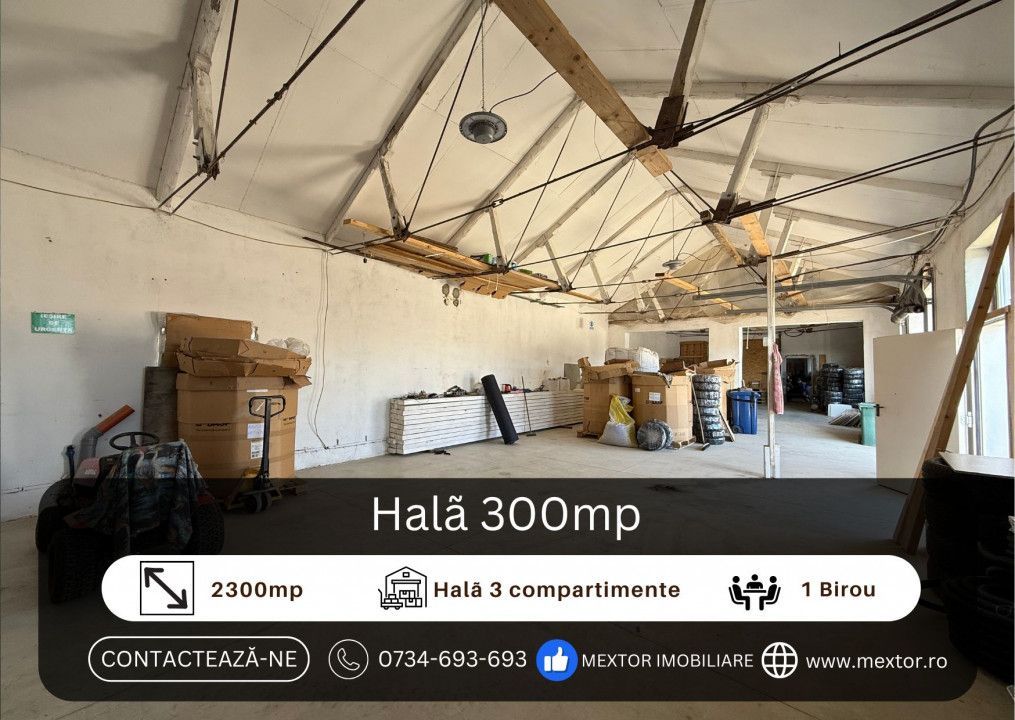 Halã de vânzare - Poză 1
