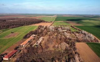 Ferma si livada de meri in judetul Ilfov - Poză 21