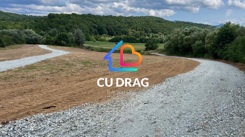 Teren de investitie Talmaciu - Poză 5
