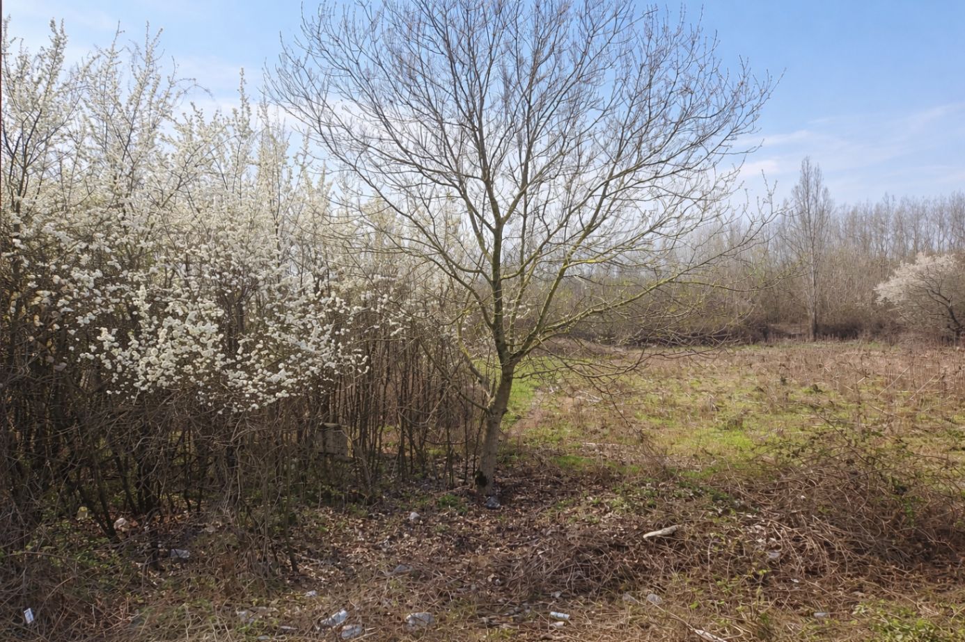 Teren intravilan, 1080 mp, Lipova - Poză 2