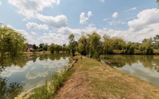 Afacere la cheie - domeniu cu lacuri de pescuit  - Sat Bunești, Com. Malureni - Poză 12