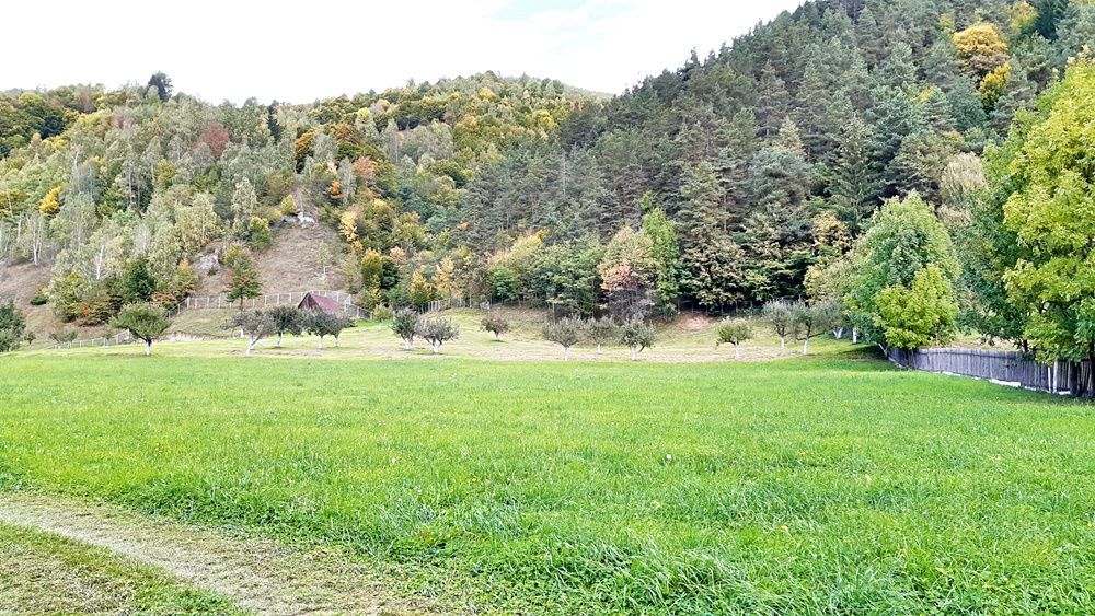 Teren superb de 16240mp, parcelabil, in Bran la intrare in Moeciu de Jos - Poză 2