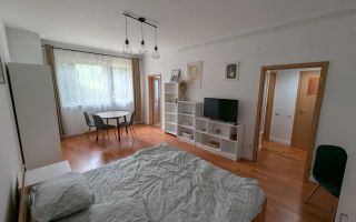 Apartament de închiriat cu 1 cameră în zona Parcul Feroviar și Gară - Poză 3