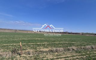 NECTORA IMOB-Teren Intravilan 537 mp, Zona Solay, 250 m de asfalt - Poză 4