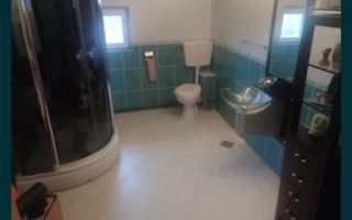 2 case in Vetis pe 30 ari - Poză 5