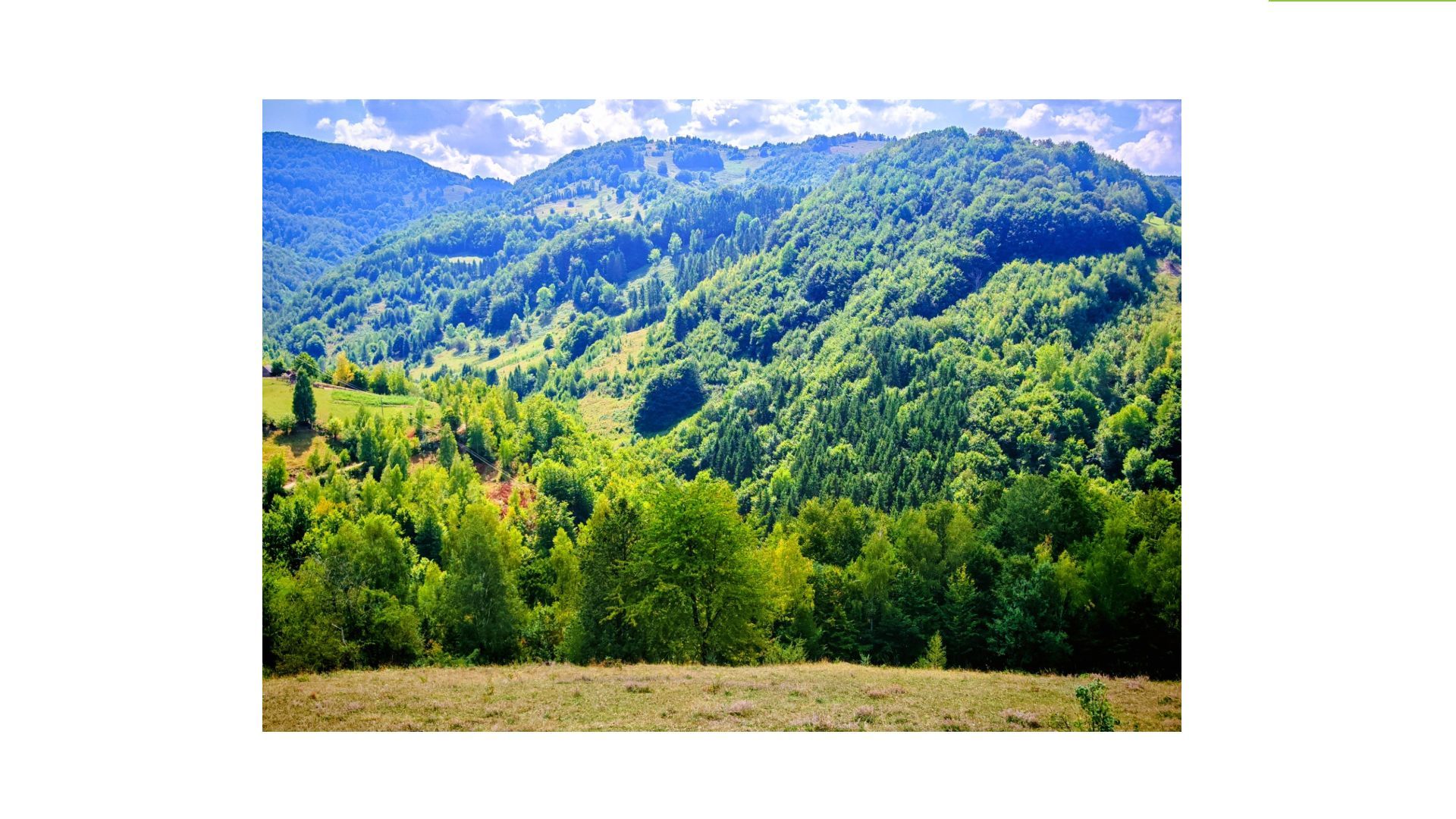 CASA TRADITIONALA, ANEXE si 46.980 mp teren partial INTRAVILAN - Poză 4