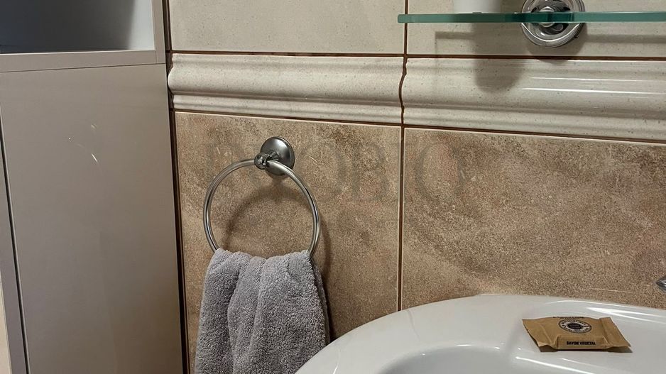 Apartament 3 camere | spațios | Arcul de Triumf - Kiseleff - Poză 16
