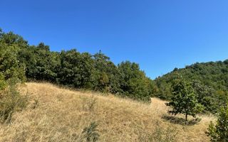 Teren intravilan 2.580 mp Eșelnița, acces DN57, ideal turism, locuinte - Poză 18