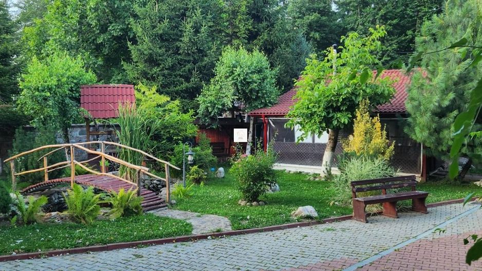 Vila Horezu Romanii de Jos - Poză 45