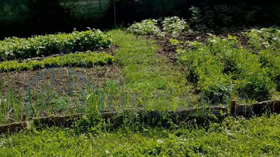 Jumătate de duplex de vânzare în Iași, Bucium, la 600 m de Podul Bularga - Poză 2