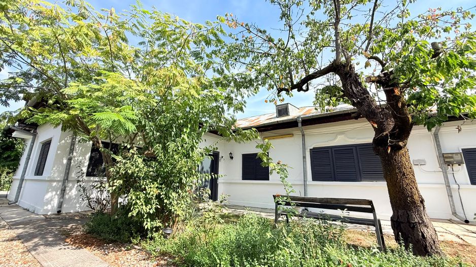 Casă de vânzare | 5 camere | Teren 1.200 mp | Foisor | Ciorogârla - Poză 19