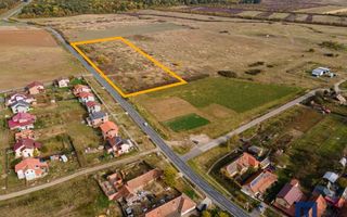 Teren pentru parcelare, 19000 mp, Pișchia, comision 0 - Poză 4