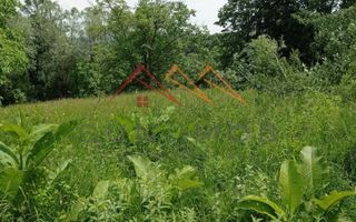 Teren 2500 m2, la sosea, usoara inclinatie, Bustenari, Prahova - Poză 2