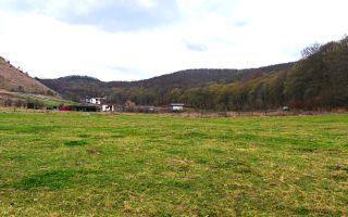 2071 mp TEREN FLORESTI–TAUTI, jud. CLUJ, 1,3 km de viitorul METROU - Poză 5