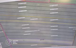 Teren arabil 10.000 mp, Calea Sagului DN 59 - Poză 3