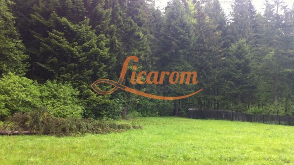 Teren intravilan Cotul Donului,pretabil Hotel/pensiune. - Poză 9