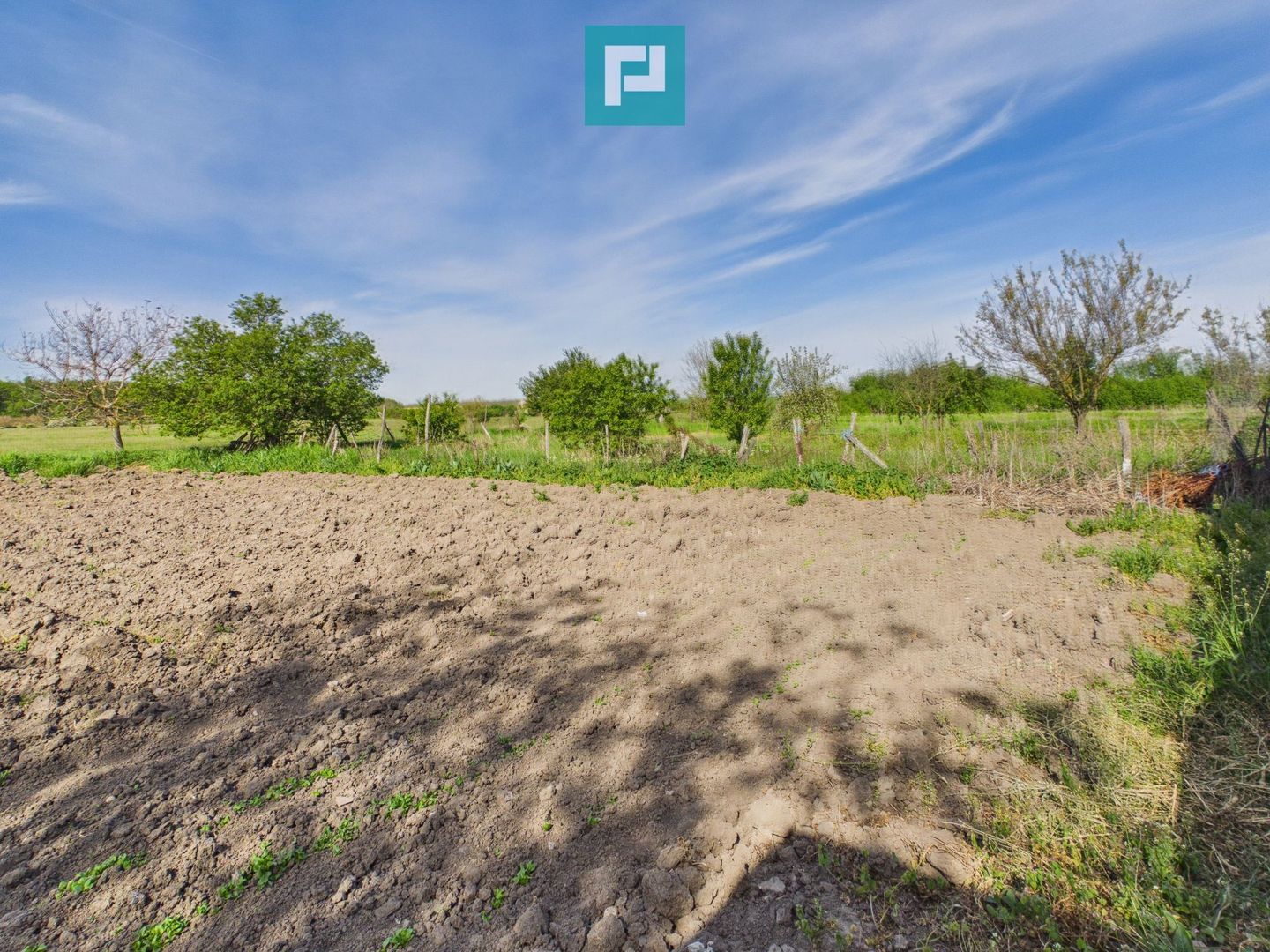 Casă retrasă Pișchia – 4 camere, teren 920 mp - Poză 67