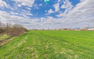 Teren extravilan, 1 ha, în orașul Sebiș, Arad - Poză 8