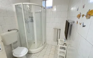 Casă 7 camere cu Teren 4.620 mp | Potențial pentru rezidență sau afacere | Carei - Poză 16