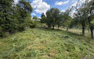 Teren intravilan  - Sat. Rod - Tilisca - Poză 4