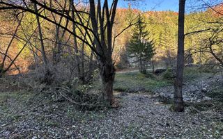 Teren 2.882 mp – oportunitate investitie - Cheile Dâmbovicioarei - Poză 12