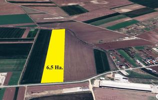 Unicat ! Dascalu, 65.000 mp. teren cu deschidere de 102 ml. la DJ 200