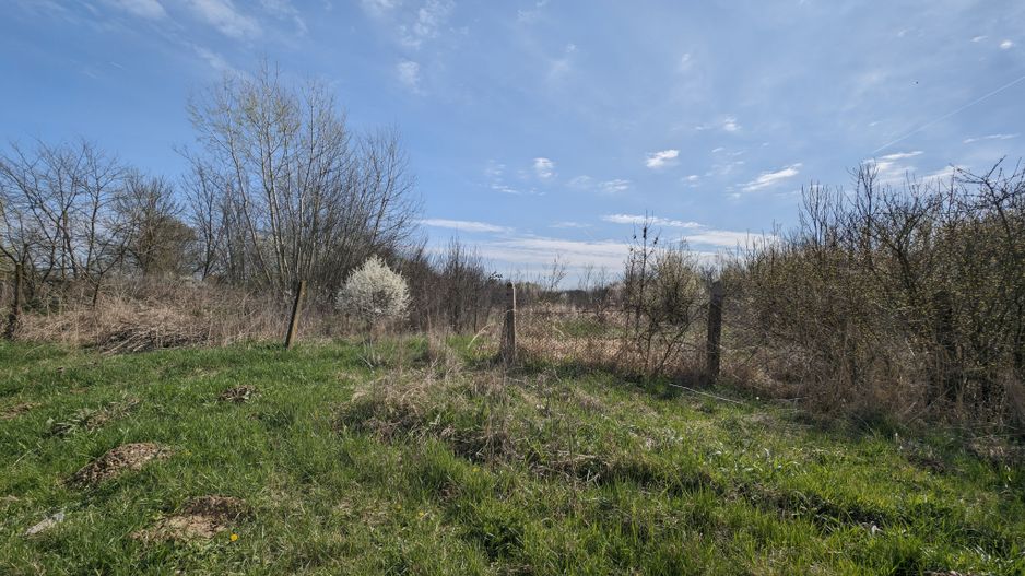 Teren intravilan Balint 22.500 mp - Poză 4