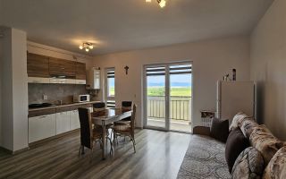 Apartament 2 camere | Balcon | Mobilat si utilat |  Magnolia - Poză 3