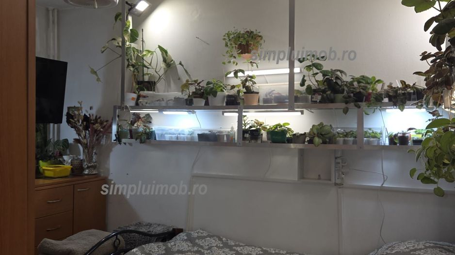 3 camere renovat Brancoveanu stradal Sector 4 - Poză 3