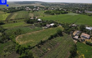 Teren - Ionășeni | BOTOȘANI | 3.285mp - Poză 6