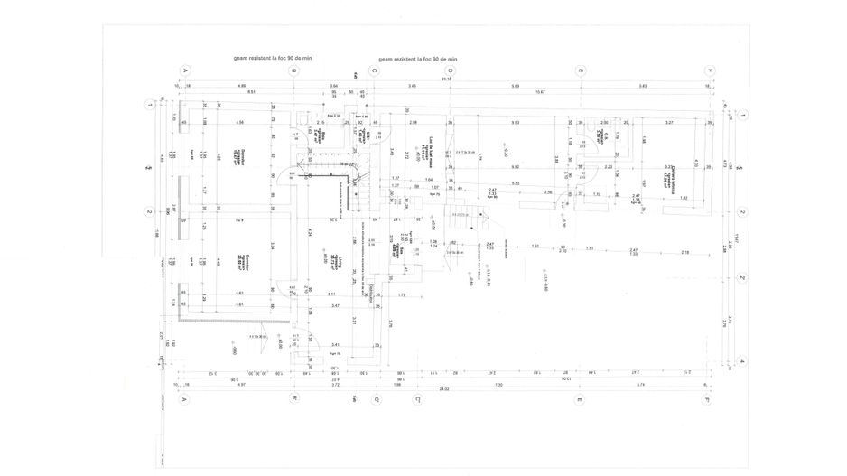 Casa P+M  renovata integral - Poză 9