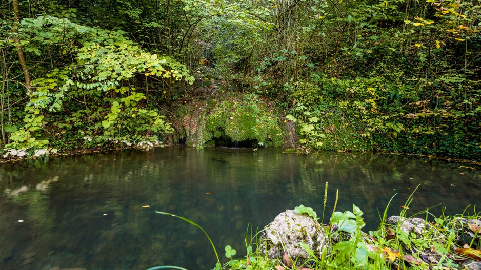 Domeniu în satul Căprioara - Poză 17