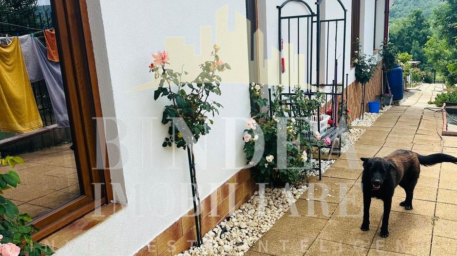 Casa de vis, constructie 2023 Charlottenburg- COMISION 0 - Poză 17