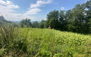 Teren Darmanesti | 41 Ari | 26.500EURO - Poză 3