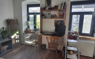 Casă cu grădină în centrul orașului Satu Mare - Poză 6