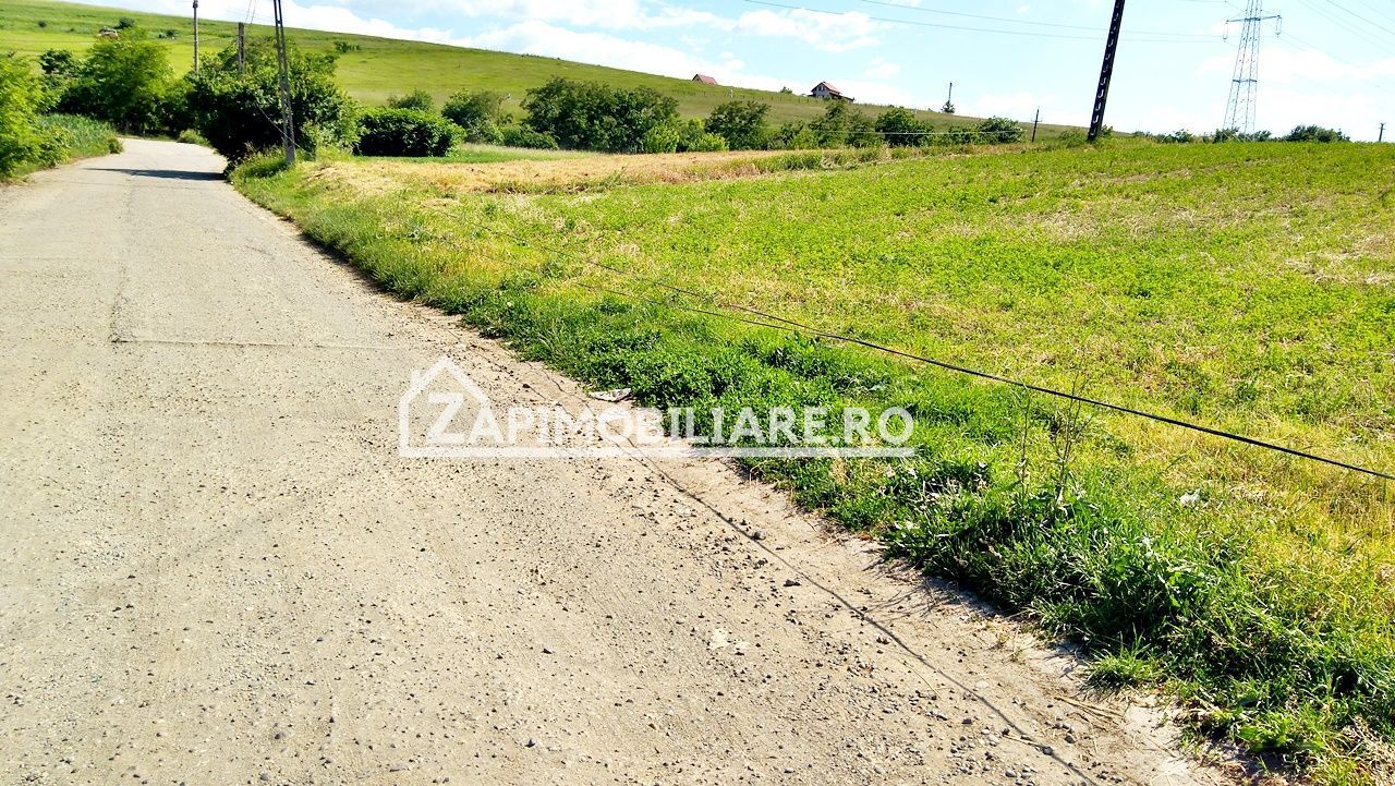 Teren 7.000 mp, Targu Mures - Poză 5