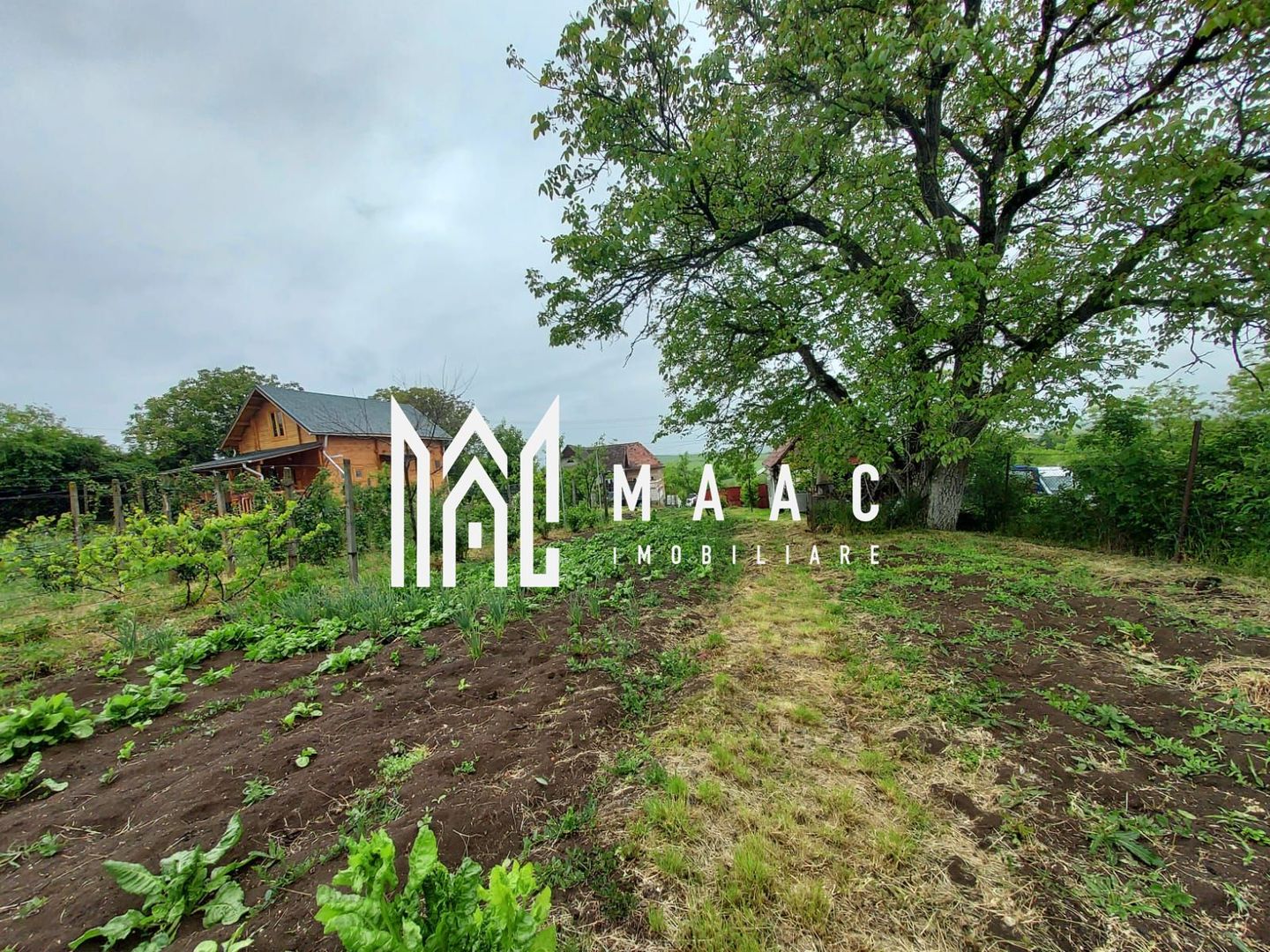 Casa | 1331 mp Teren | Miercurea Sibiului | - Poză 8